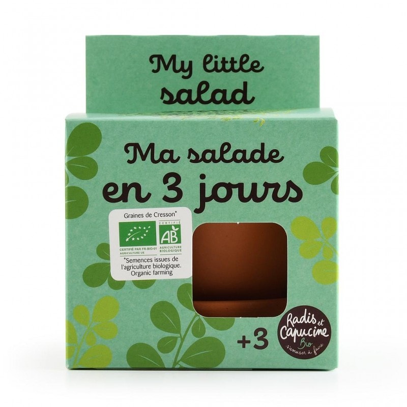 Kit jardinage enfant - salade bio