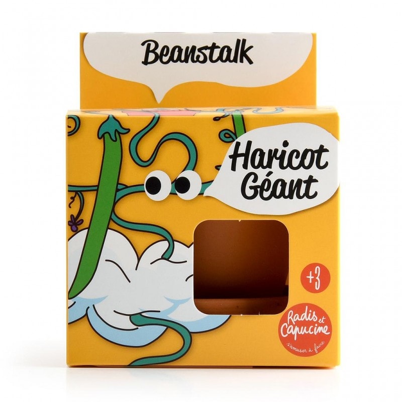 Kit pot enfant - haricot géant