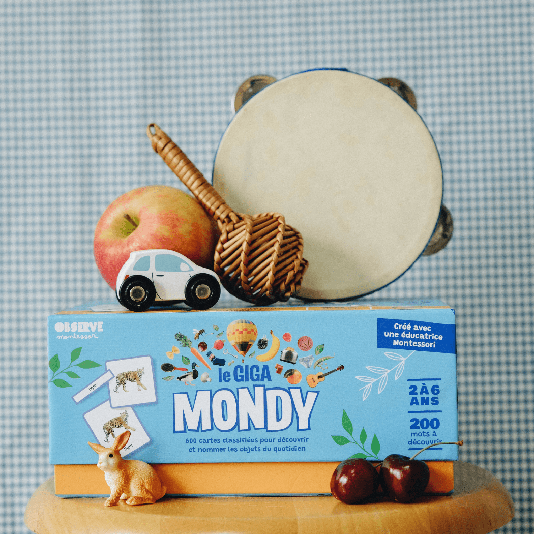 Giga mondy, 600 cartes montessori