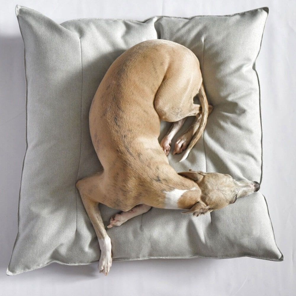 Hoina, coussin chien tissu gris clair s