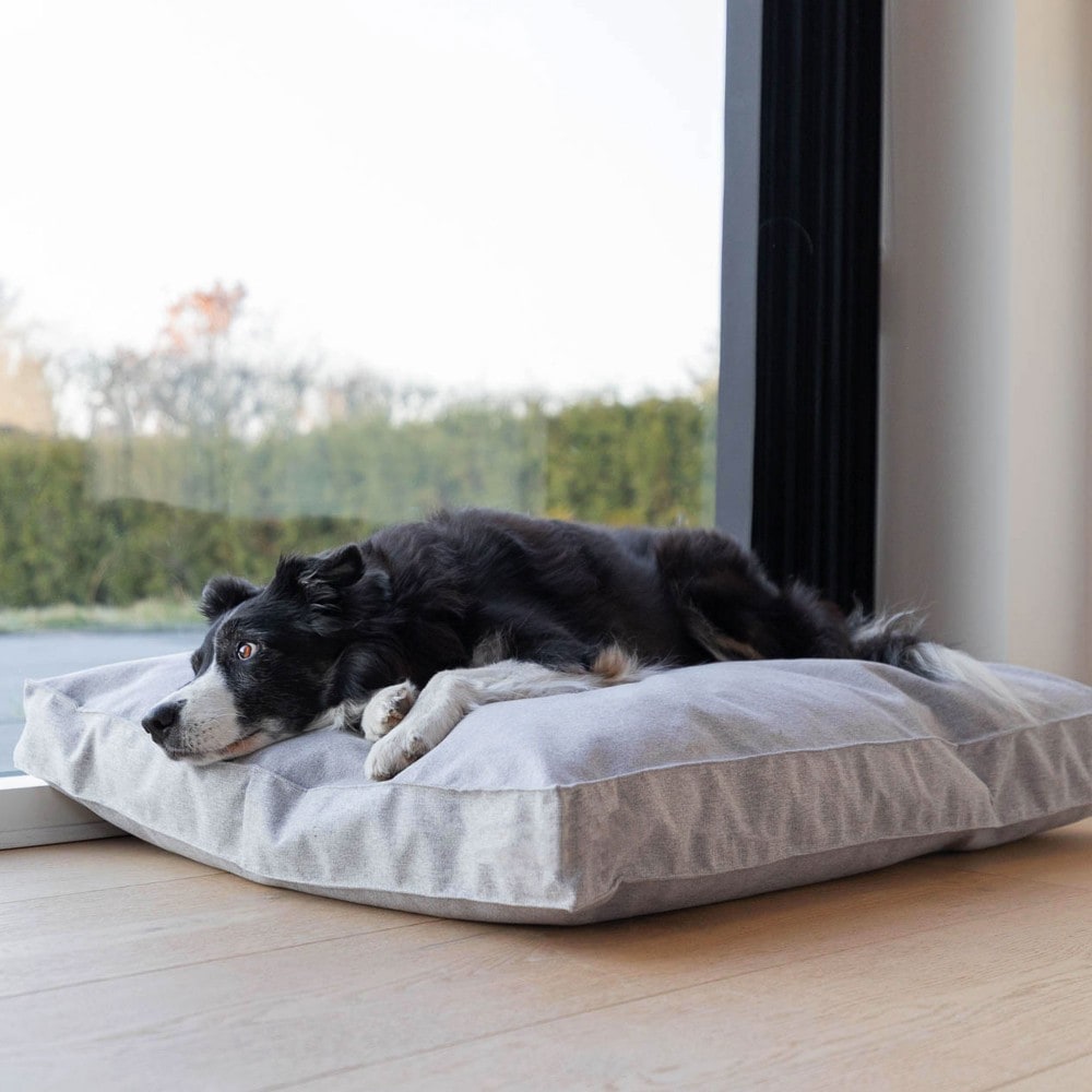 Kaha, coussin chien tissu gris clair l