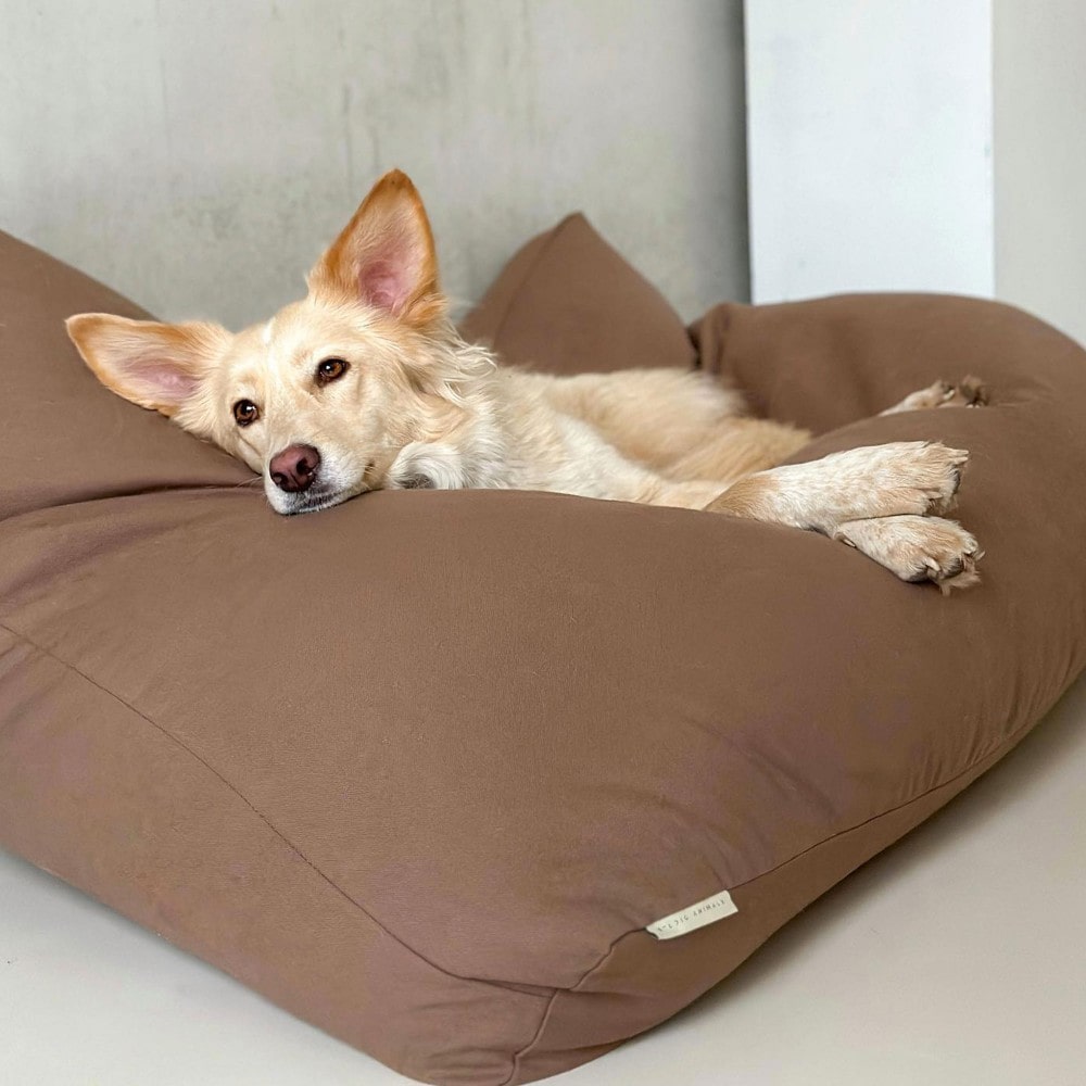 Star, coussin chien déhoussable mocca l