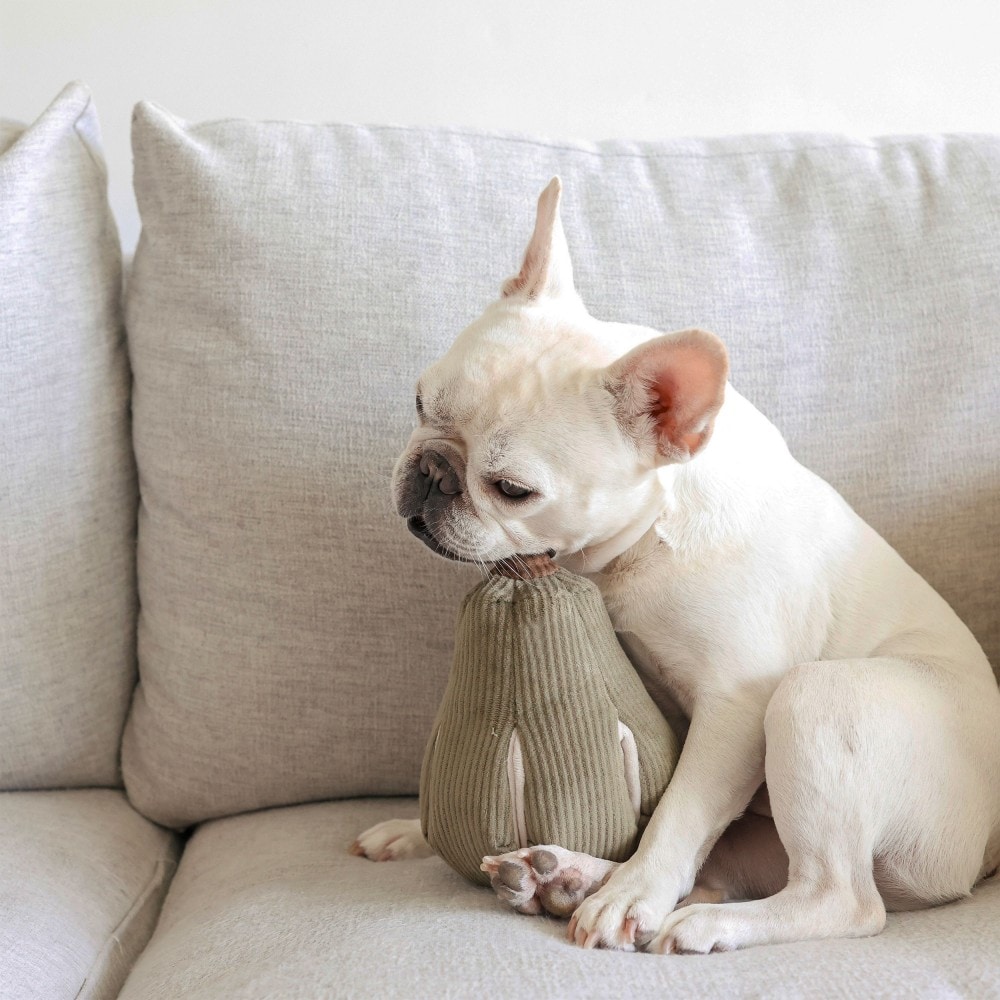 Butt, jouet chien avec poches friandises