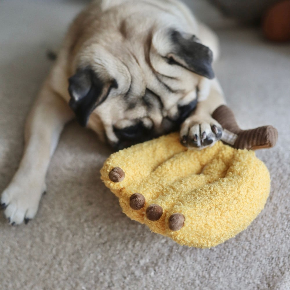 Banaan, jouet de fouille pour chien