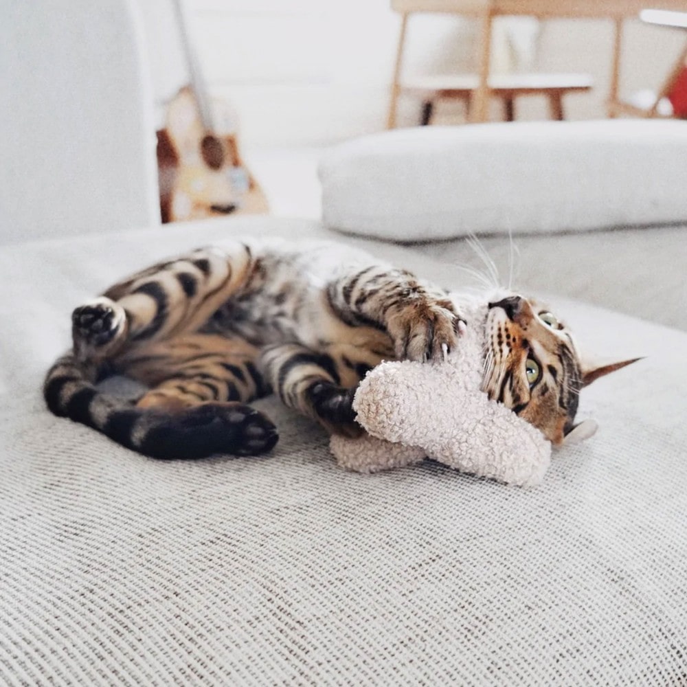 K breuuer, jouet avec herbe à chat sable