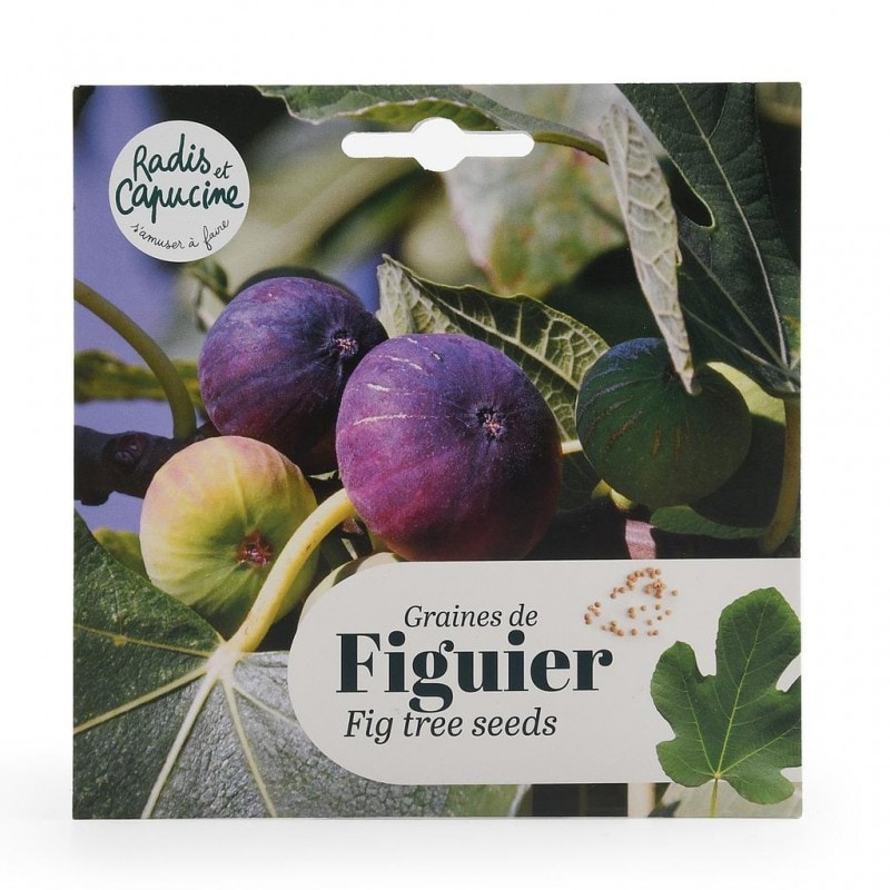 Graines de figuier comestible en sachet