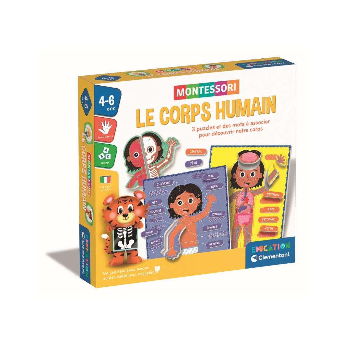 Le corps humain - montessori