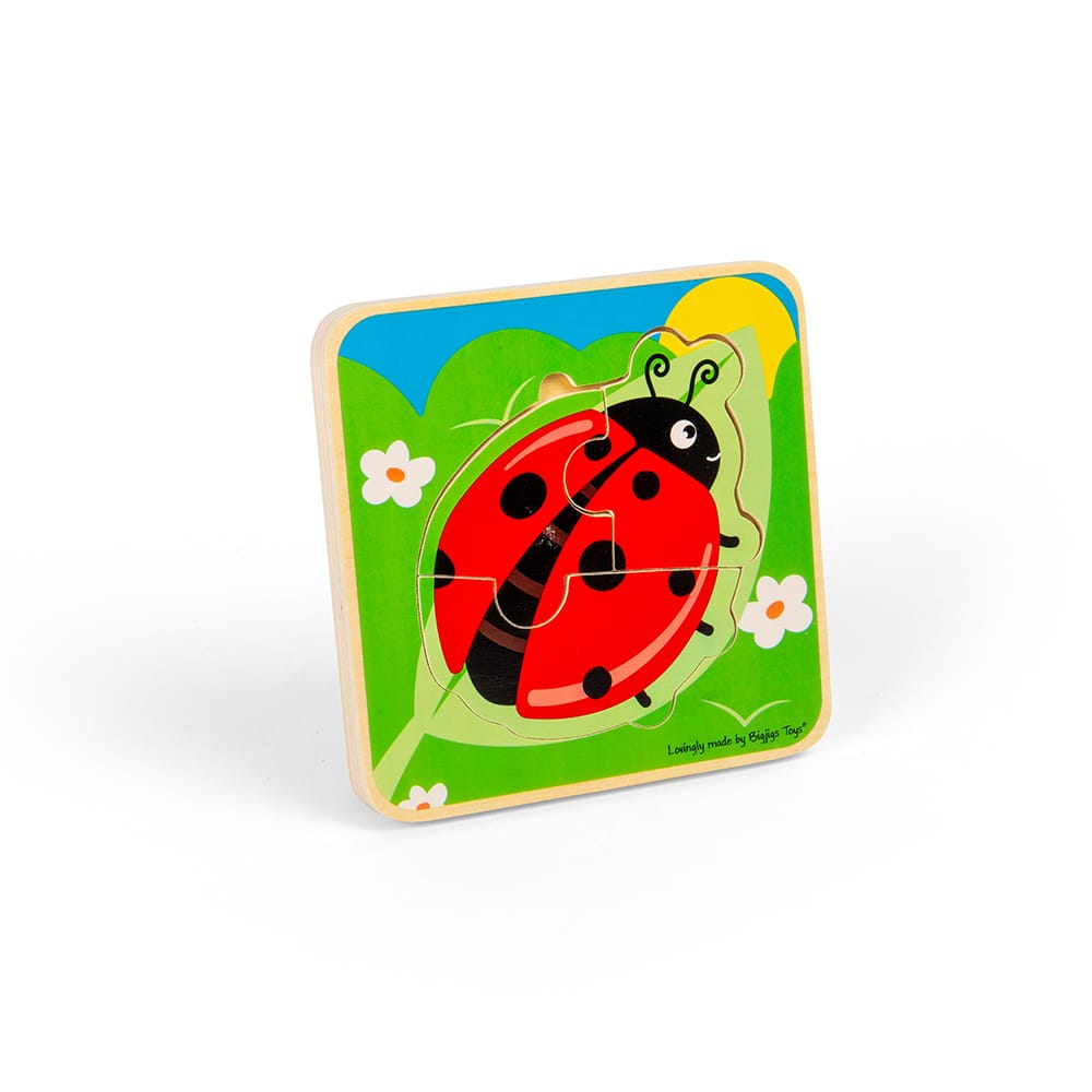 Puzzle cycle de vie - coccinelle