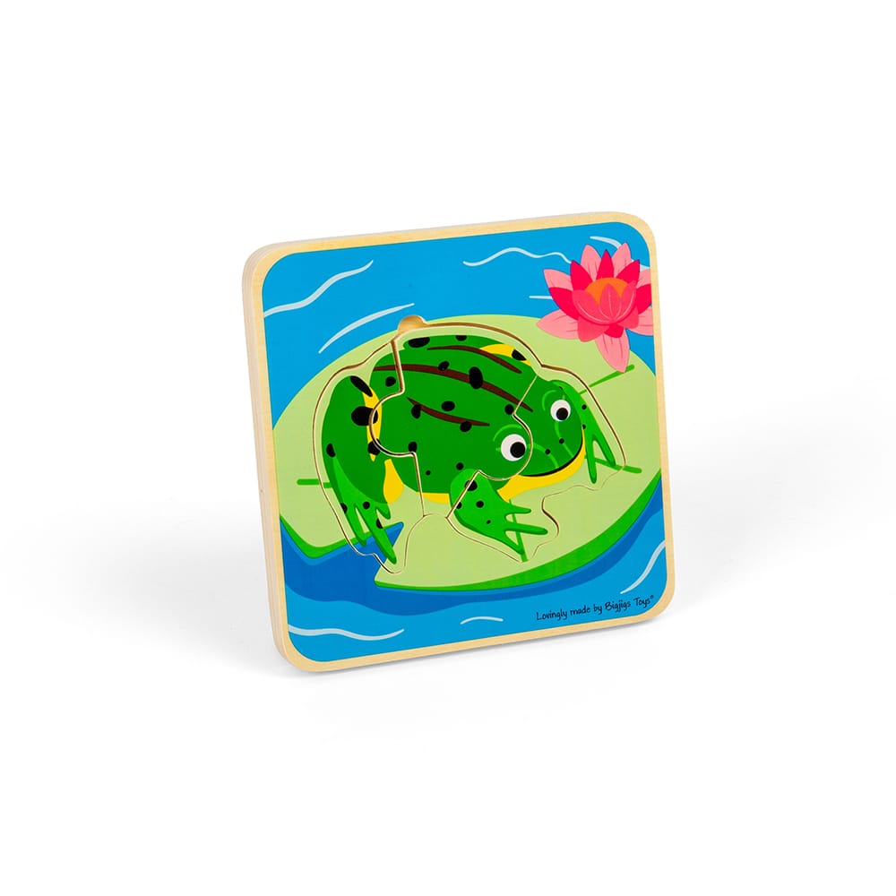 Puzzle du cycle de vie - grenouille