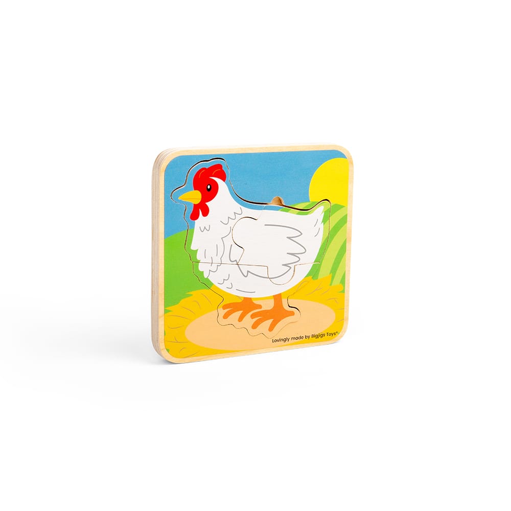 Puzzle du cycle de vie - poulet