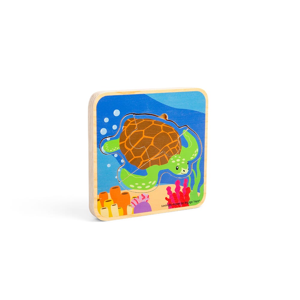 Puzzle du cycle de vie - tortue de mer