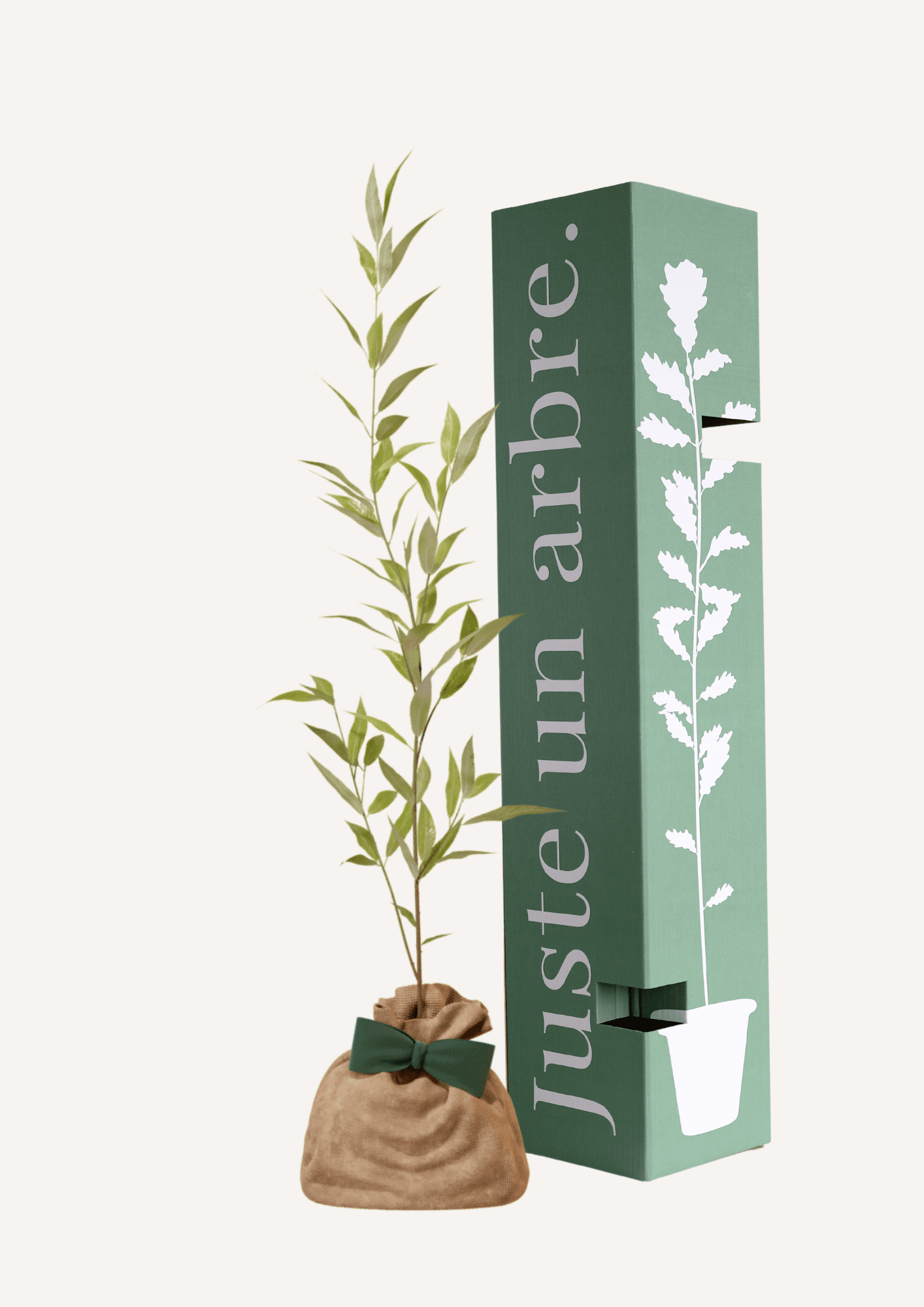 Offrez un arbre en cadeau - saule