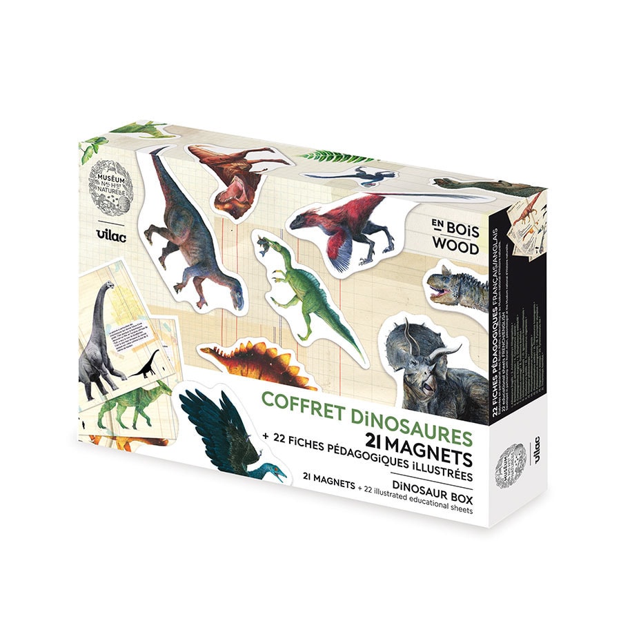 Coffret de 21 magnets dinosaures