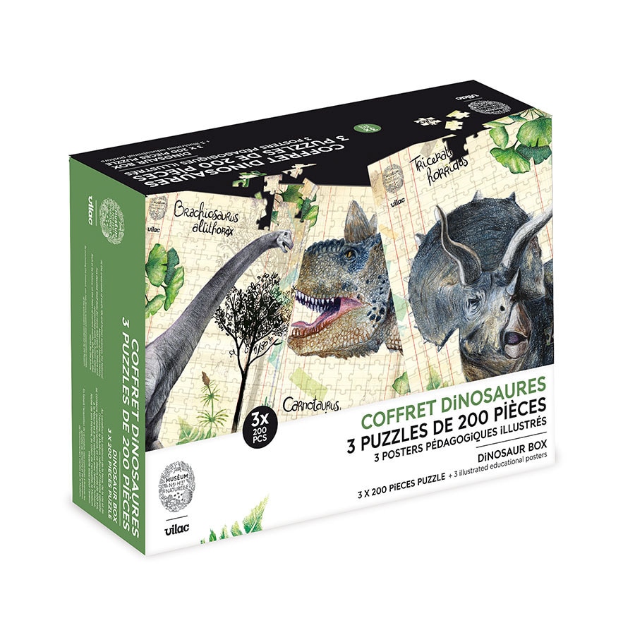 Coffret 3 puzzles dinosaures et posters