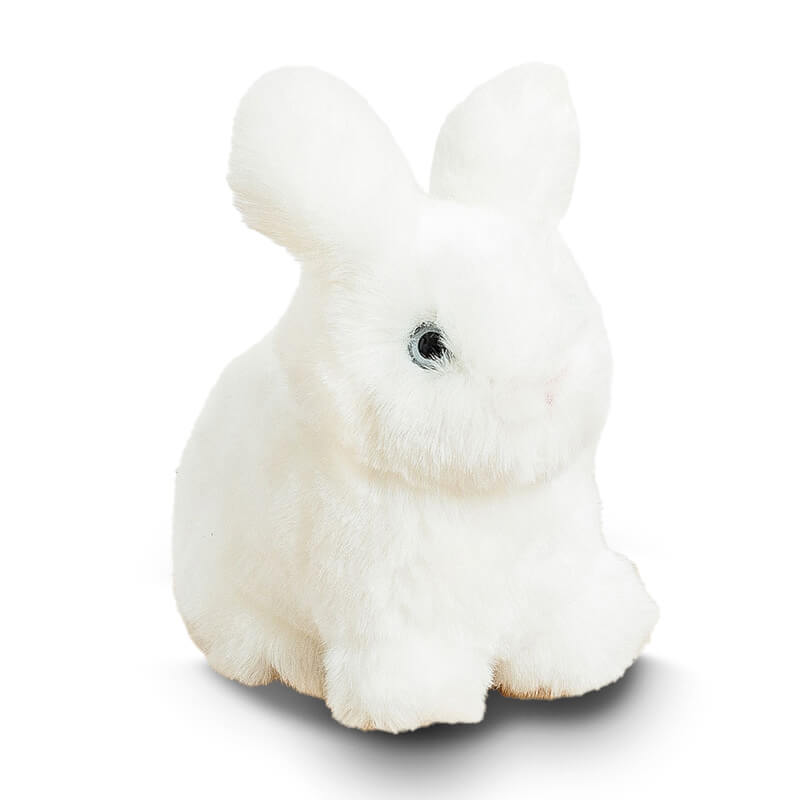 Lapin léon assis blanc