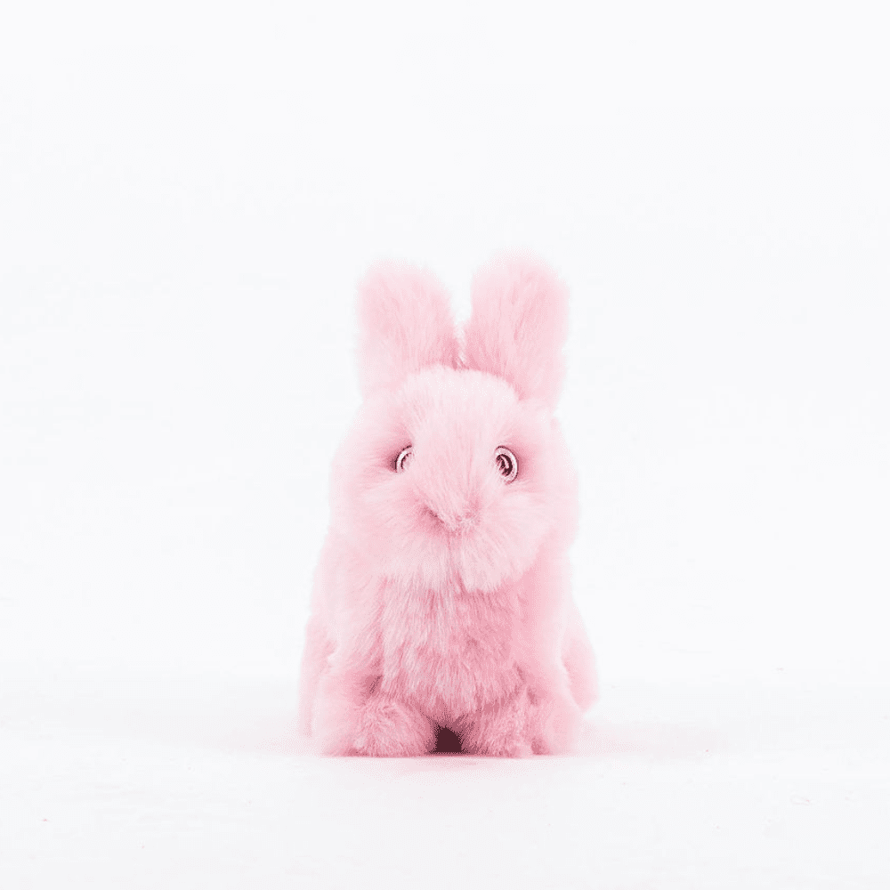 Lapin léon assis rose