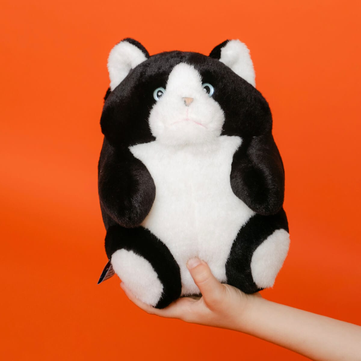 Roodoodoo chacha le chat 25 cm