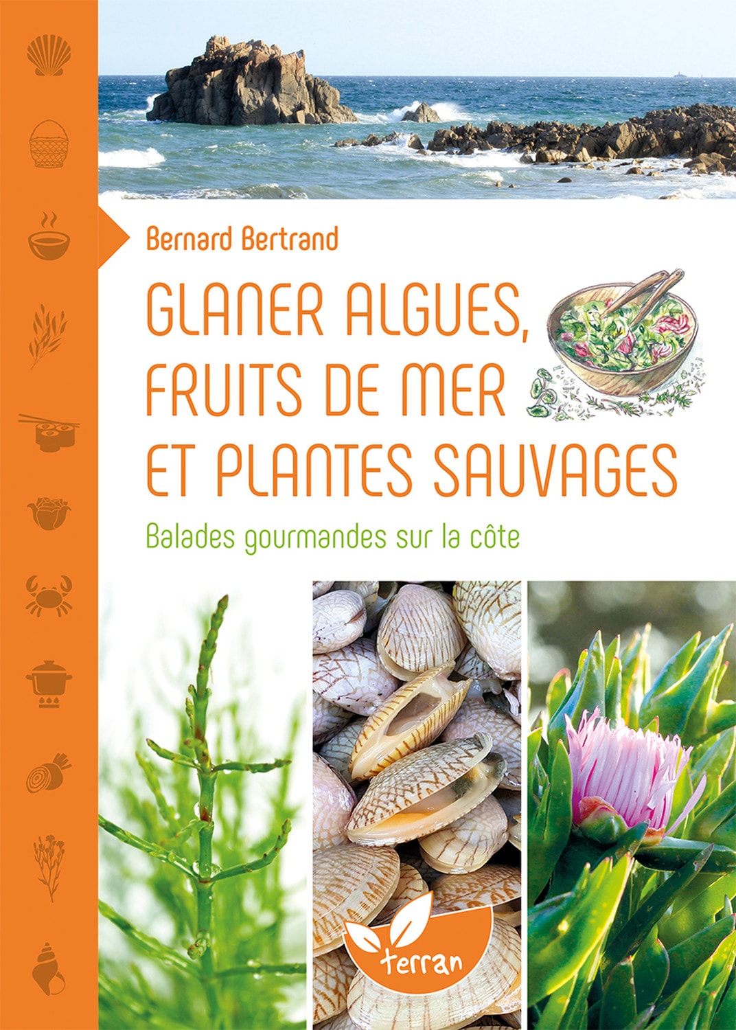 Glaner algues fruits de mer et plantes