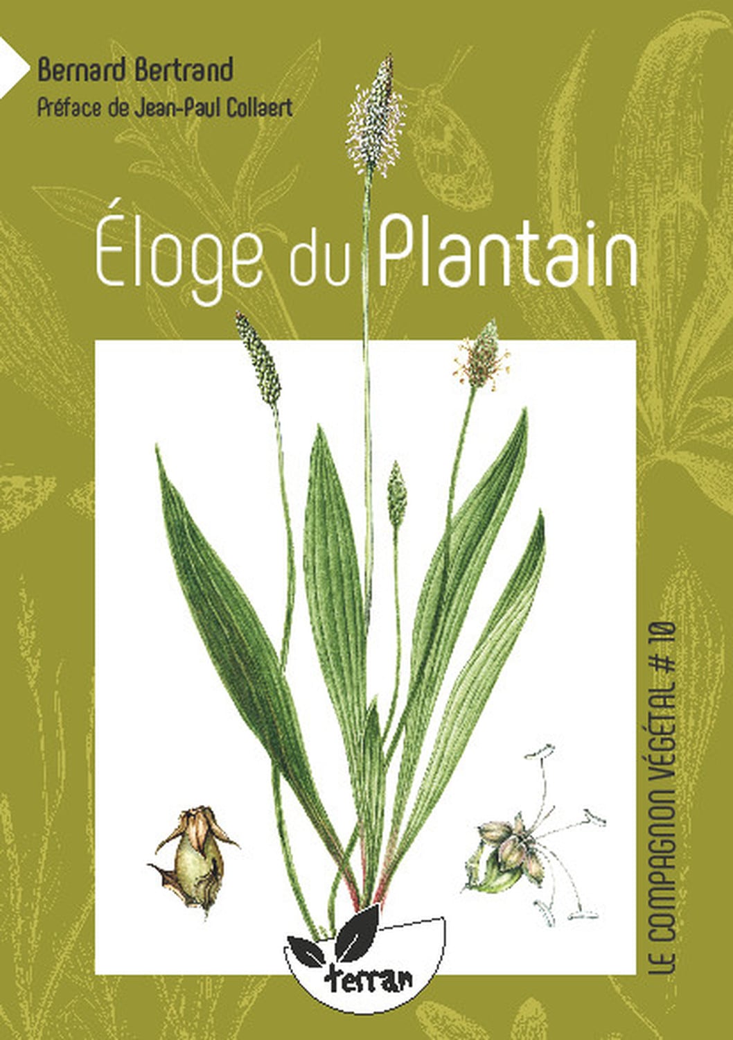 Éloge du plantain