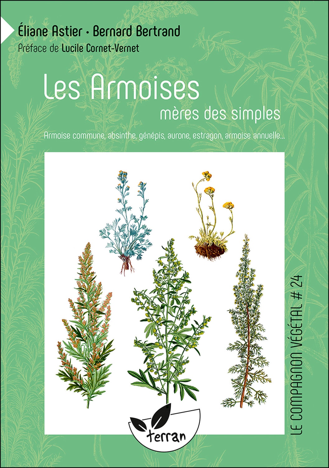 Les armoises, mères des simples