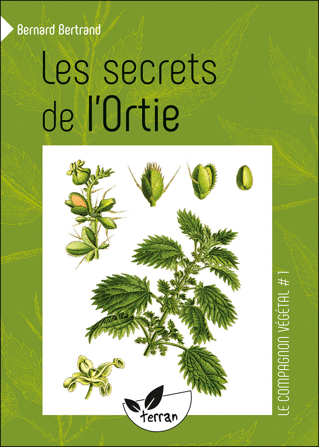 Les secrets de l'ortie