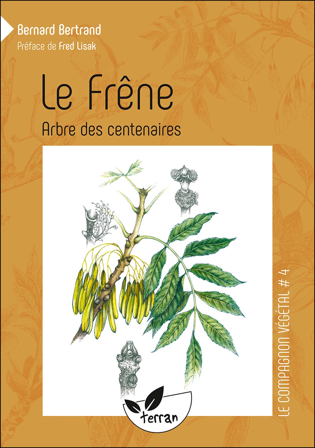 Le frêne, arbre des centenaires