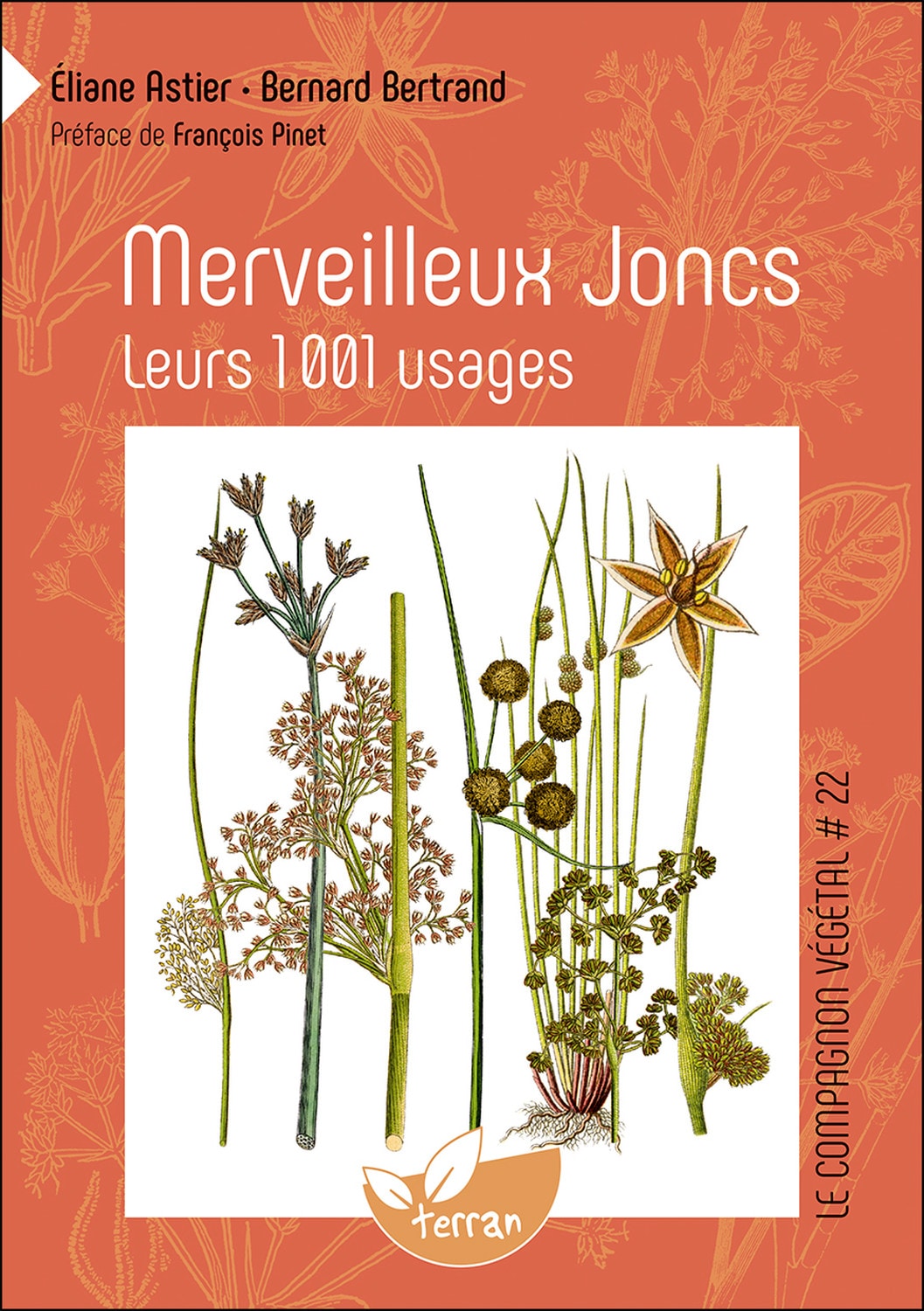 Merveilleux joncs