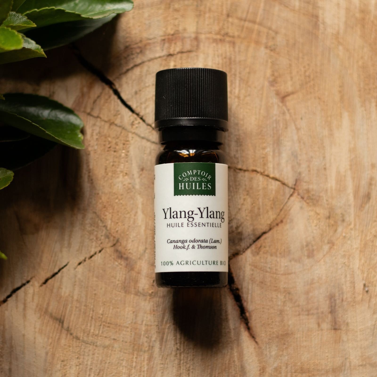 Huile essentielle d'ylang ylang