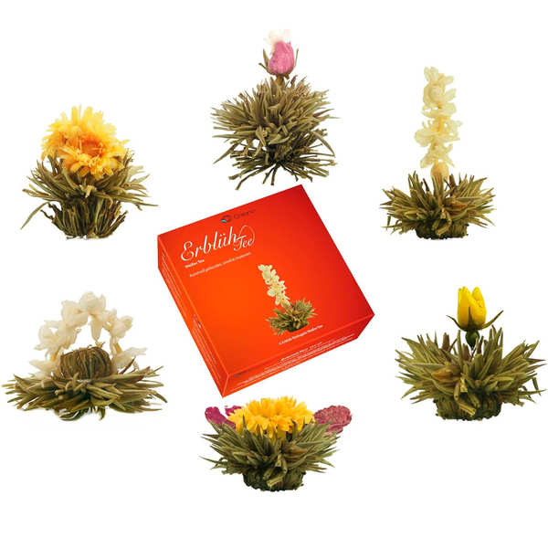 Coffret 6 fleurs de thé blanc